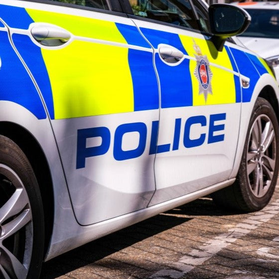 Livestock rustlers steal more than 50 sheep in Somerset